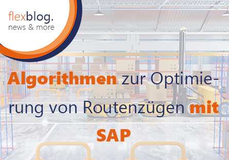 Algorithmen zur Optimierung von Routenzügen mit SAP