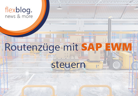 Routenzüge mit Extended Warehouse Management (SAP EWM) steuern