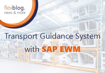 Transport Guidance System for SAP EWM