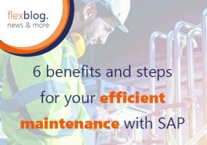 Six advantages and steps for an efficient maintenance with SAP