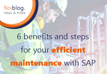 Six advantages and steps for an efficient maintenance with SAP