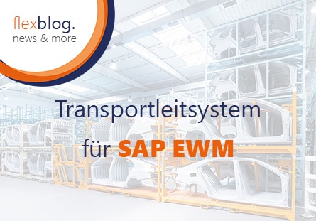 Transportleitsystem für SAP EWM