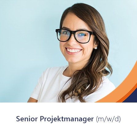Senior Projektmanager (m/w/d)