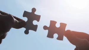 Partnerschaft NIMMSTA und FLEXUS