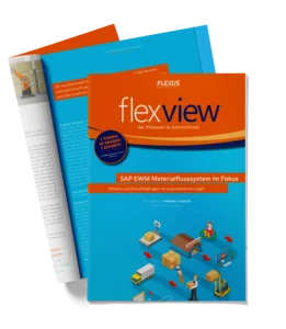SAP EWM Materialflusssystem im Fokus